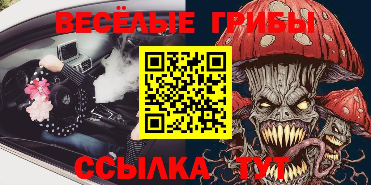 Галлюциногенные грибы Psilocybine cubensis Обнинск